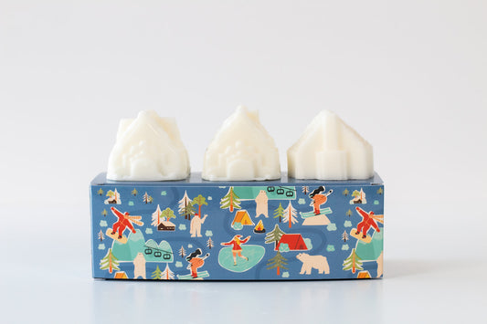 Scented Wax Melts - Winter Fun