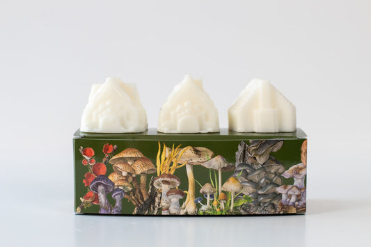 Scented Wax Melts - Mushroom Lover