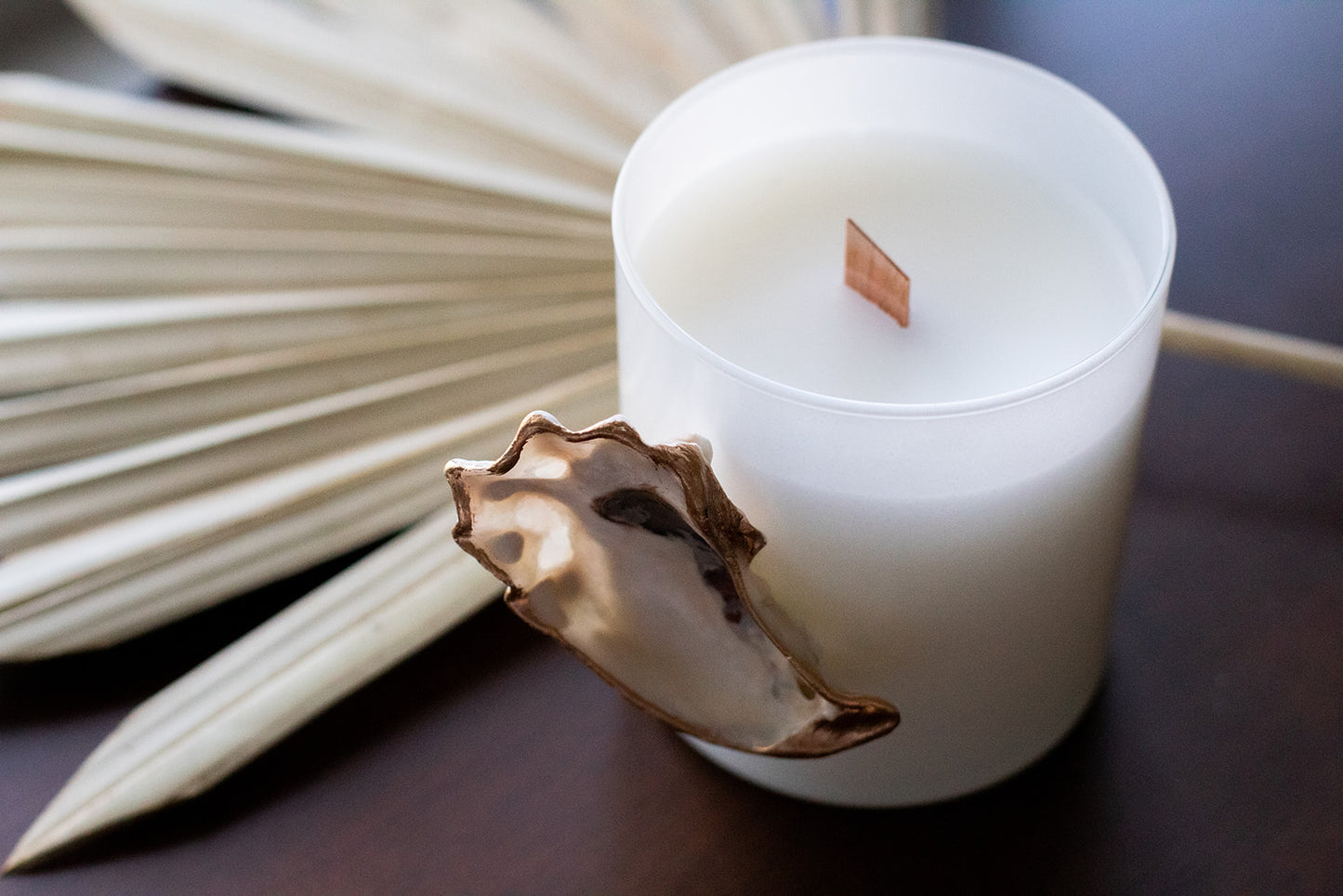 Oyster Shell Candle