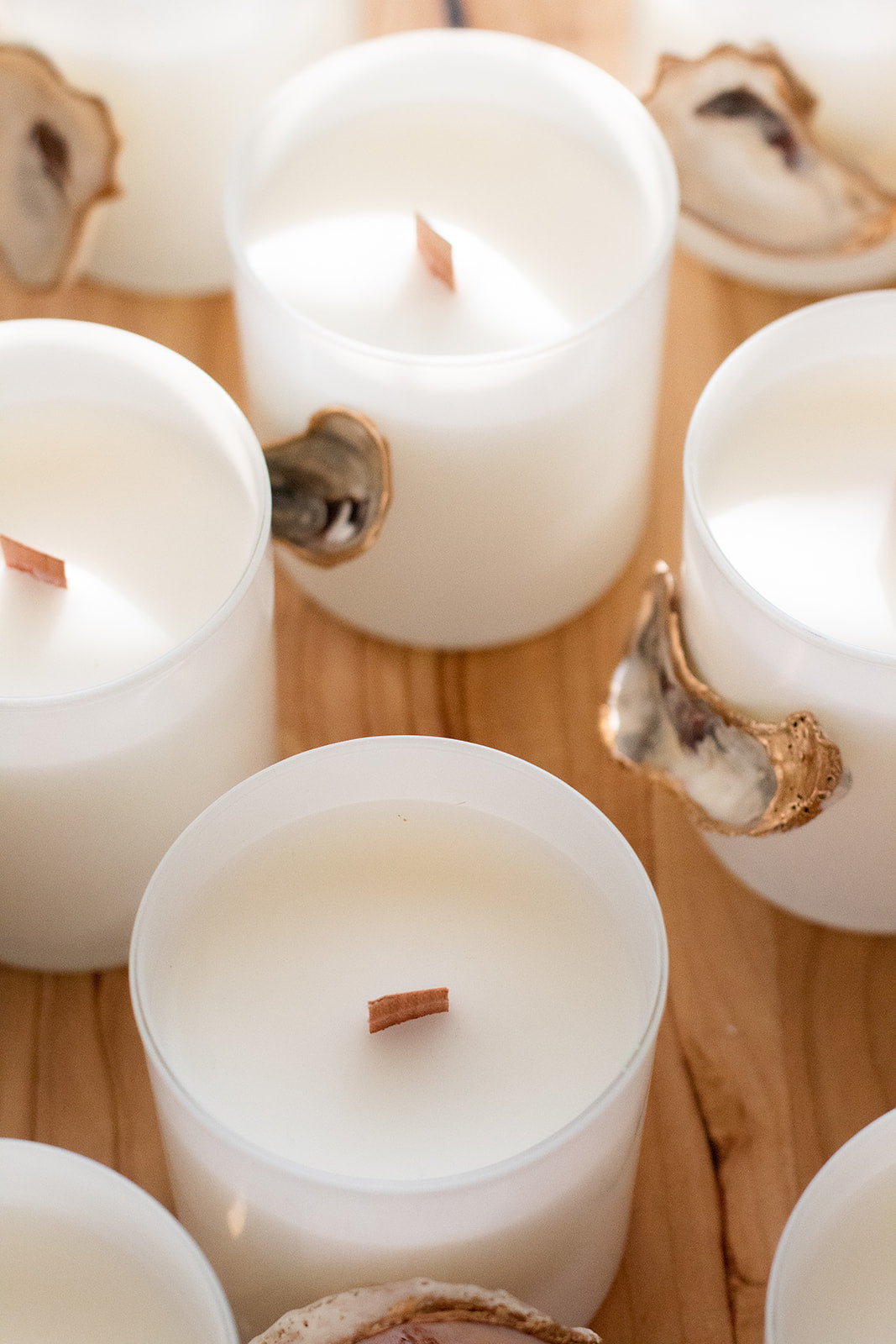 Oyster Shell Candle