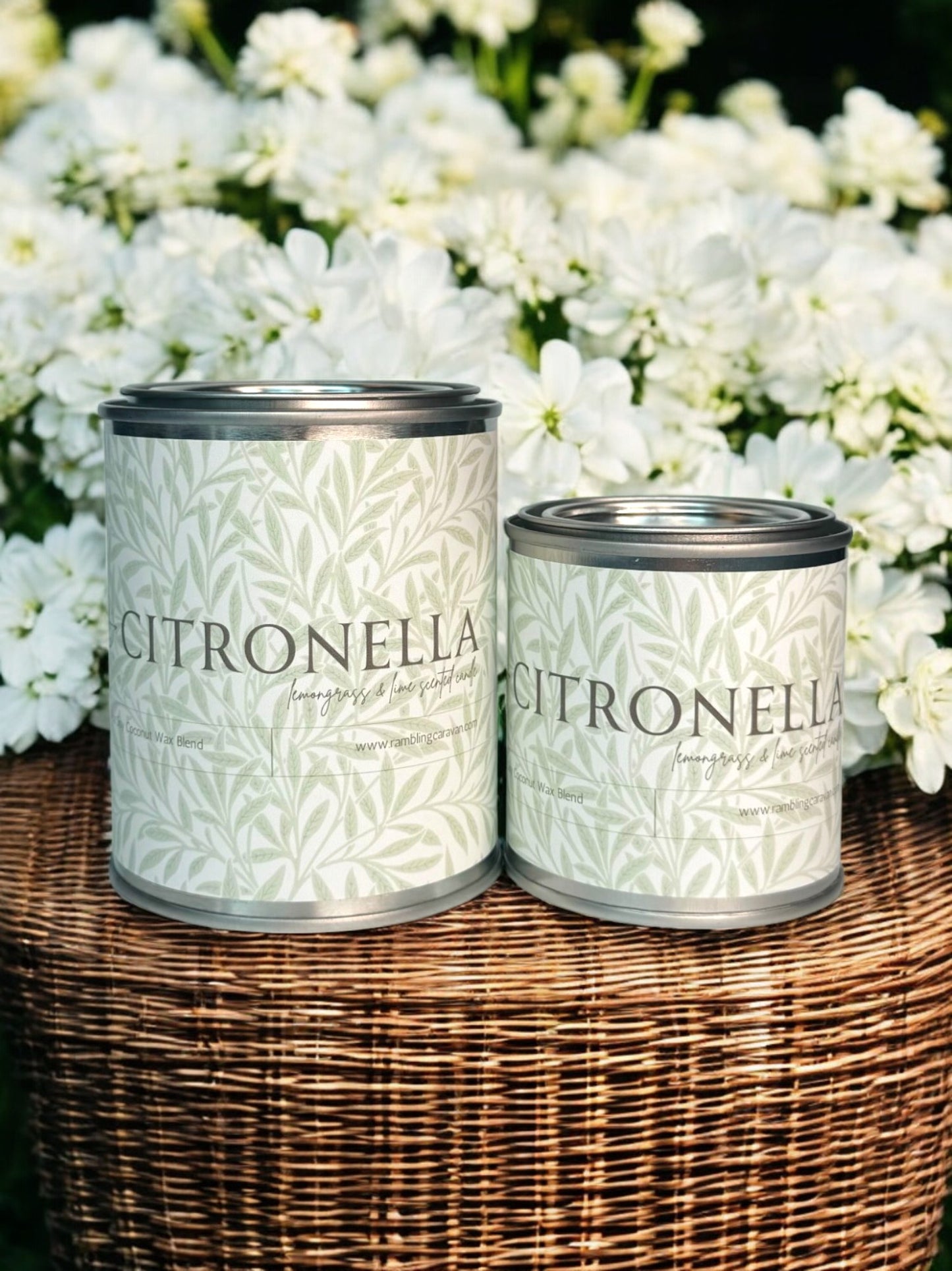Citronella Candle - Paint Tin - Lemongrass & Lime Citronella